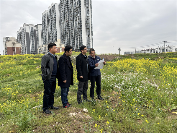 3月29日，張總陪同汪盛縣長調(diào)度揚之學(xué)校征地.jpg